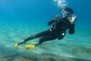 Wschodnie wybrzeże Aten: odkryj nurkowanie w Nea Makri