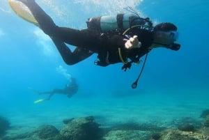 Oostkust van Athene: Ontdek duiken in Nea Makri