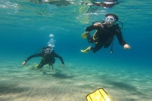 Wschodnie wybrzeże Aten: odkryj nurkowanie w Nea Makri