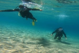 アテネ東海岸：ネア マクリでスキューバ ダイビングを体験