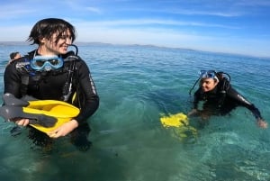 Costa orientale di Atene: scopri le immersioni subacquee a Nea Makri