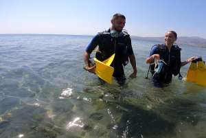 Atens østkyst: Oppdag dykking i Nea Makri