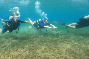 Atens østkyst: Oppdag dykking i Nea Makri