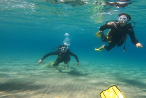 Atens østkyst: Oppdag dykking i Nea Makri