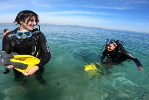 Atens østkyst: Oppdag dykking i Nea Makri