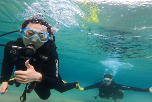 Atens østkyst: Oppdag dykking i Nea Makri