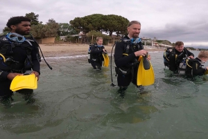 Atens østkyst: Oppdag dykking i Nea Makri