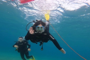 Atens østkyst: Oppdag dykking i Nea Makri