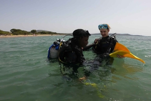 Atens østkyst: Oppdag dykking i Nea Makri