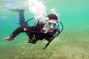 アテネ東海岸ネア・マクリでのオープンウォーターダイバーコース