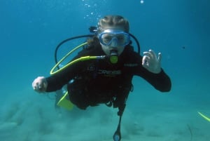 Athens East Coast: Padi Open Water Diver Course in Nea Makri