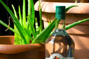 Assaggia i sapori autentici della Grecia - Tour gastronomico ad Atene