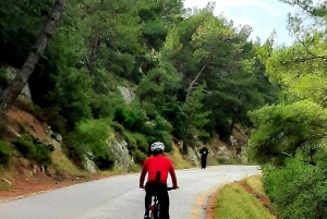 Athen: Elektrofahrradtour zum Berg Hymettus