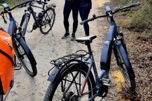 Athen: Elektrofahrradtour zum Berg Hymettus