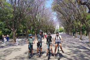 Atenas: Passeio de um dia de bicicleta elétrica