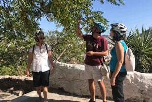 Ateena: Klassiset nähtävyydet ja historia Opastettu E-Bike Tour