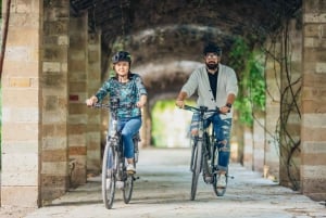 Atenas: Excursión en Bicicleta Eléctrica con Visita Opcional a la Acrópolis