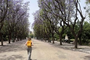 Игра «Побег из Афин» «Путешествие во времени»