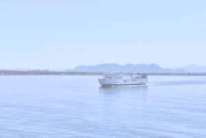 Athens: Ferry Journey between Athens and Aegina Island