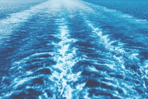 Atenas: Viagem de ferry entre Atenas e a Ilha de Aegina