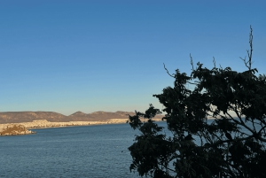 Atenas: viagem de ferry entre Atenas e Mykonos