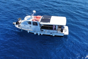 Athènes : Expérience de pêche sur un bateau avec repas de fruits de mer