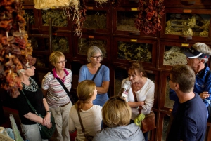 Athens: Greek Food Discovery Small Group Walking Tour