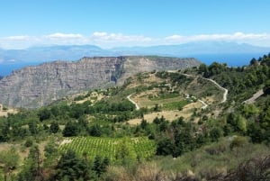 Athens: Full-Day Aigialeia Private Wine Tour with Lunch