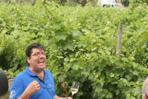 Athens: Full-Day Evia Private Wine Tour with Spa Treatment