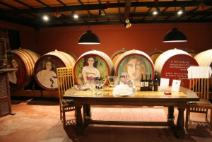 Athens: Full-Day Evia Private Wine Tour with Spa Treatment