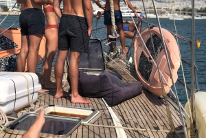 Athen: Heldags privat sejltur med måltider og drikkevarer