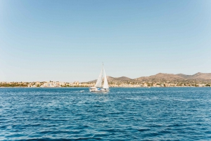 Athens: Boat Tour to Agistri, Aegina with Moni Swimming Stop
