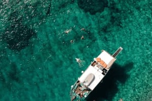 Porto Rafti: Paseo en barco por Atenas con barbacoa mediterránea