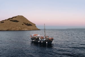 Porto Rafti: Paseo en barco por Atenas con barbacoa mediterránea