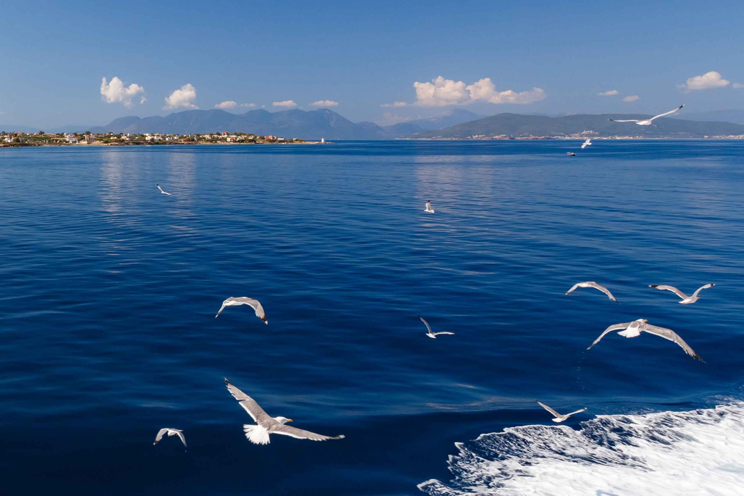Athens: Guided Day Trip to Aegina and Agistri Islands