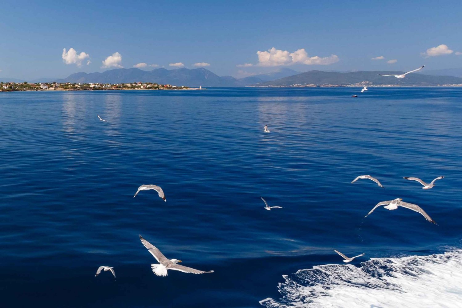 Athens: Guided Day Trip to Aegina Island with Swimming