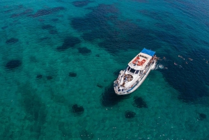 Aten: Halvdags badkryssning till Saroniska öarna