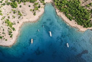 Aten: Halvdags badkryssning till Saroniska öarna