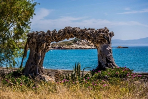 Athens: Half-Day Trip to Salamis Island with Sunset View