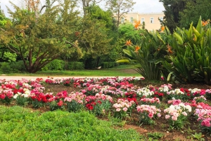 Athens: Hidden Gems and Hipster Hotspots Discovery Game