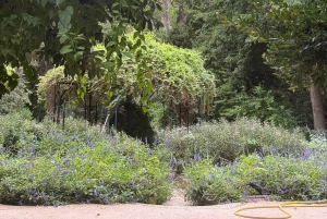 Athènes : visite guidée à pied des trésors cachés