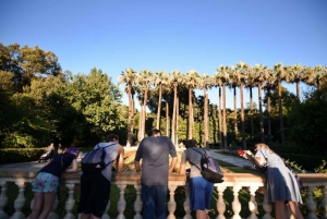 Athens: Highlights Evening Walking Tour and Meze Dinner