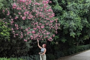 Athens Highlights Segway Tour