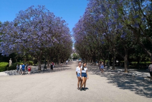 Athens Highlights Tour for First Time Visitors