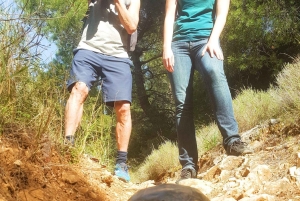 Athens Historical Hiking with Lunch