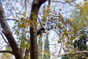 Athens Historical Hiking with Lunch