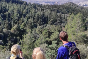 Athens Historical Hiking with Lunch