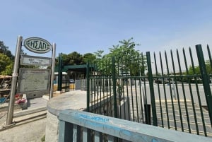 Ateena: historiallinen kävelykierros