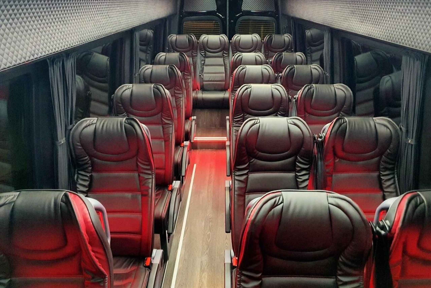 Z hotelu w Atenach do portu wycieczkowego w Pireusie Easy Van i minibusem