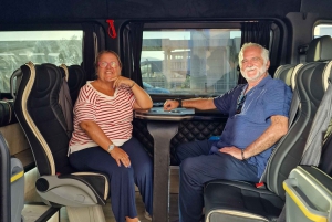 Z hotelu w Atenach do portu wycieczkowego w Pireusie Easy Van i minibusem